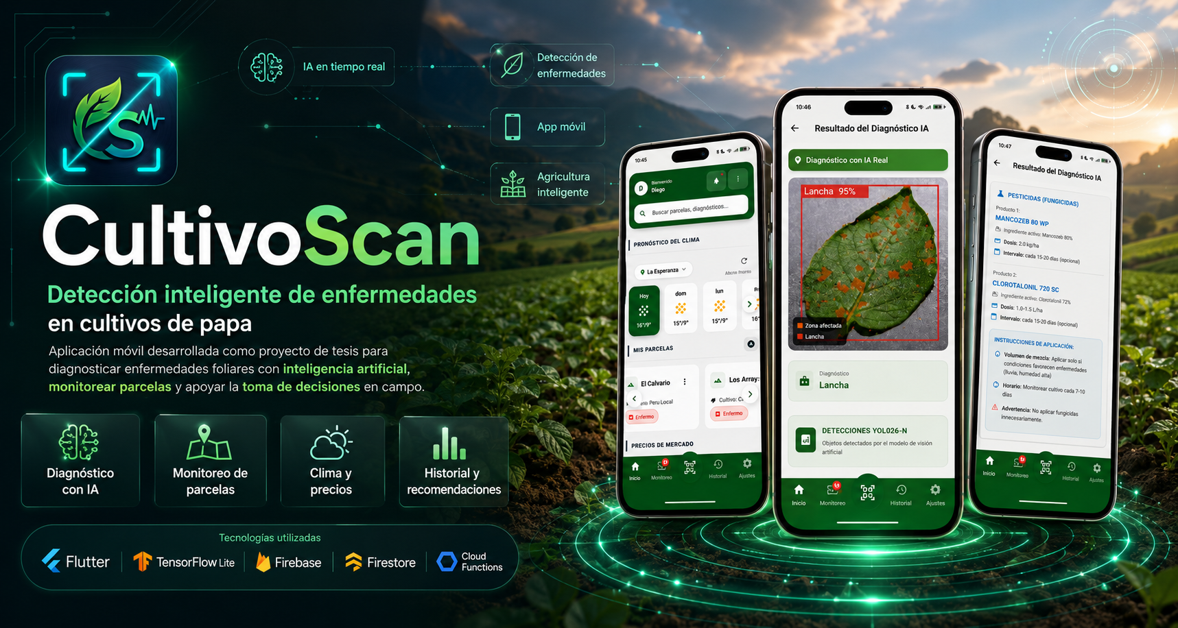 Recién llegado vs 5 años en Nueva Zelanda